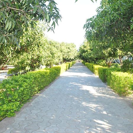 Gir Jungle Lodge Сасан Гир Екстериор снимка