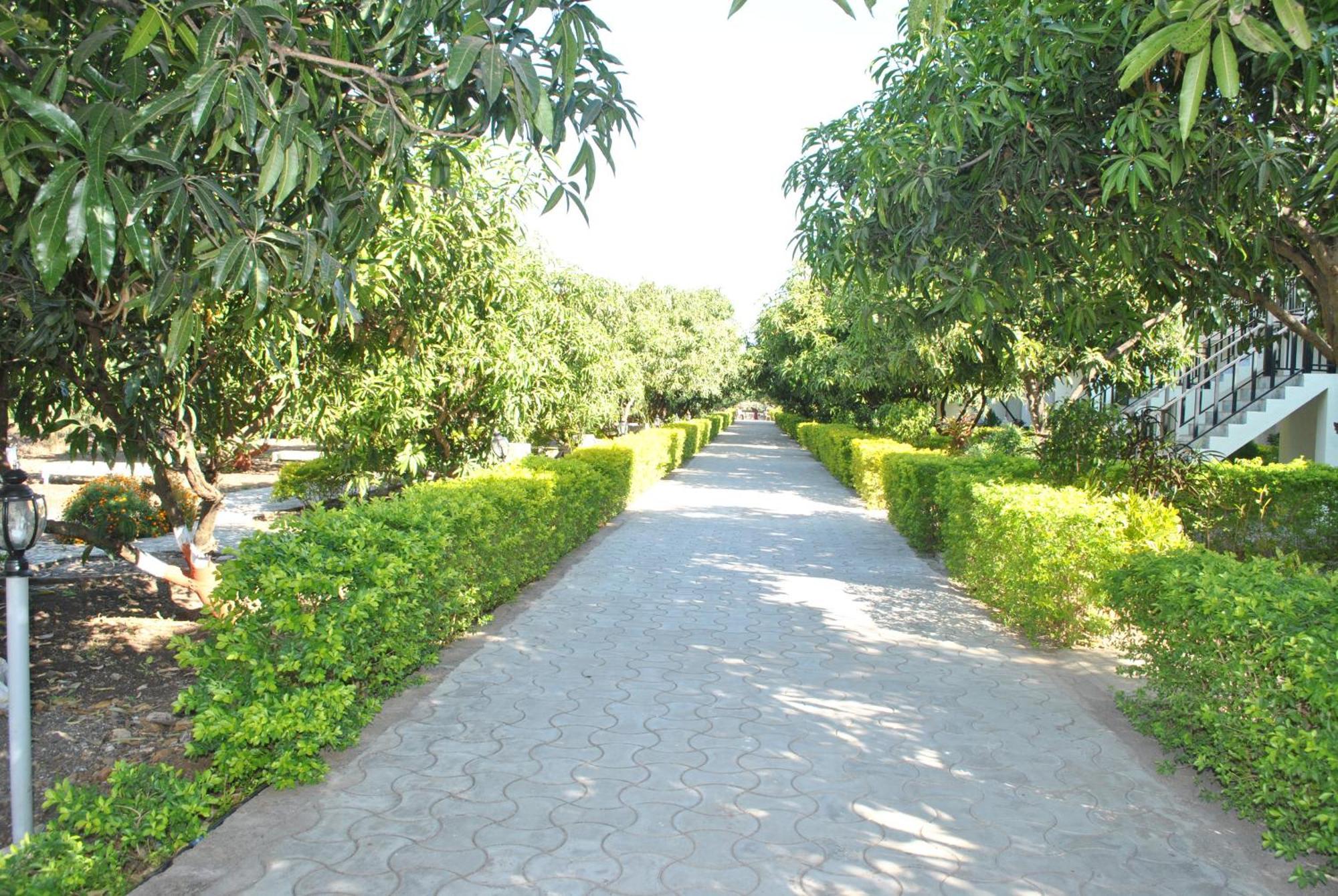 Gir Jungle Lodge Сасан Гир Екстериор снимка