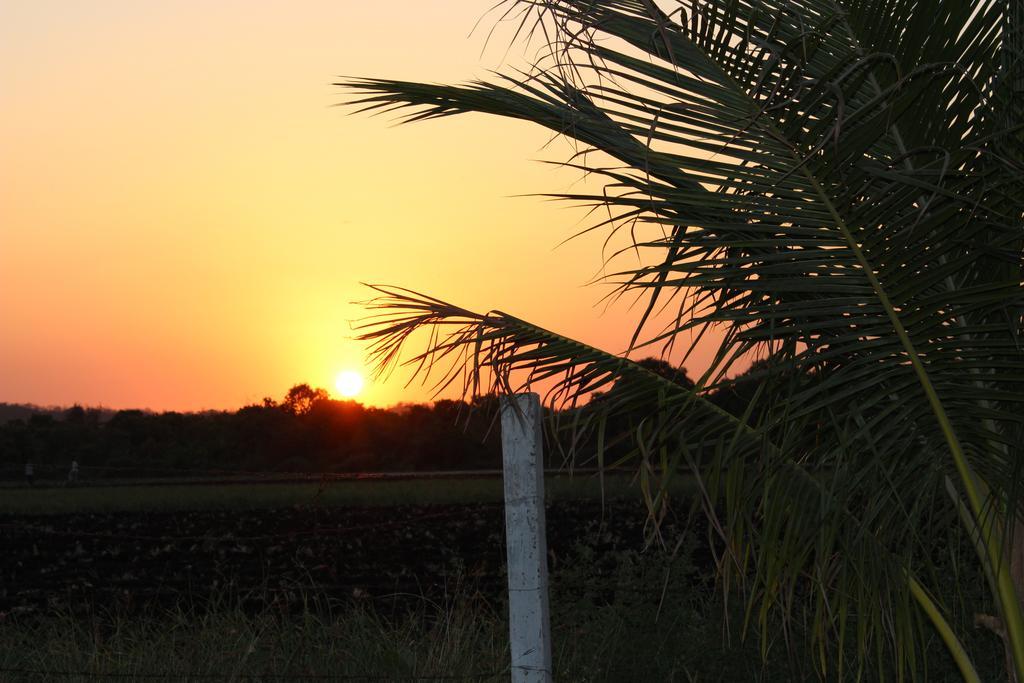 Gir Jungle Lodge Сасан Гир Екстериор снимка